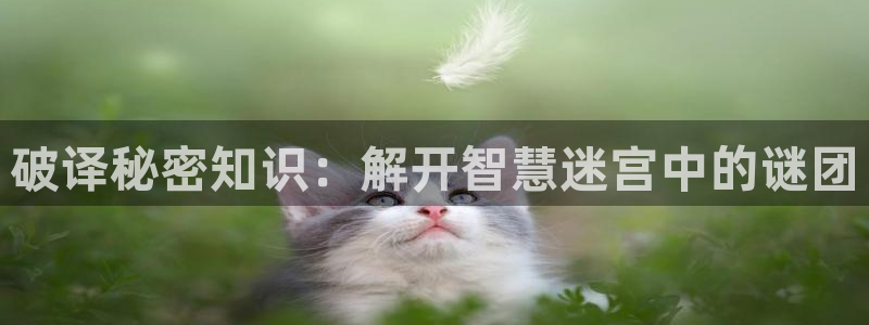 一点文学txt下载：破译秘密知识：解开智慧迷宫中的谜团